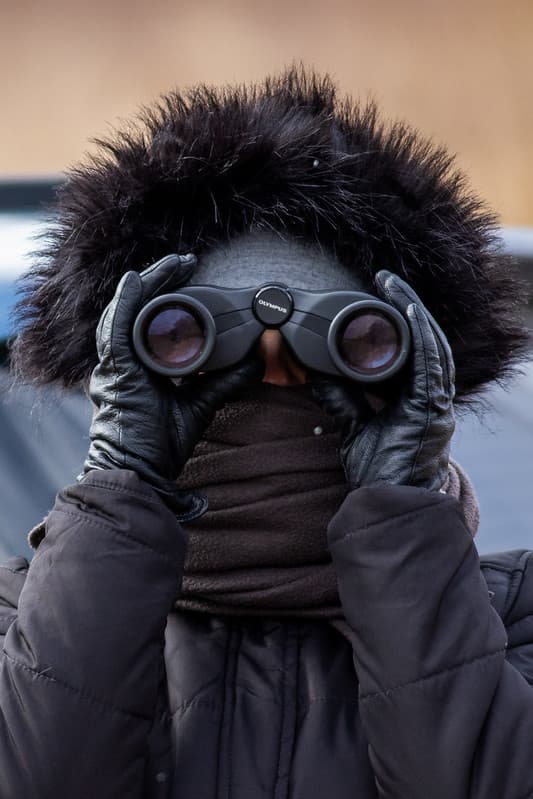 Paukščių stebėtojai